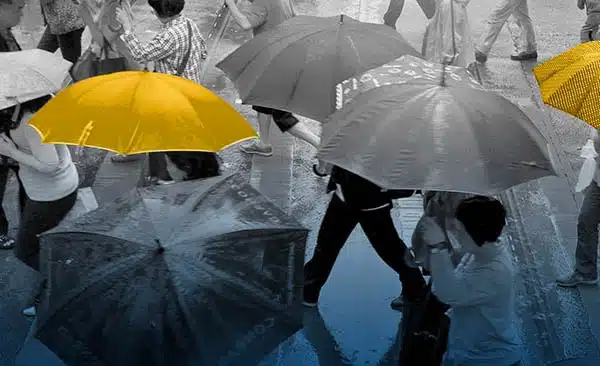 ALICE Weathering the storm